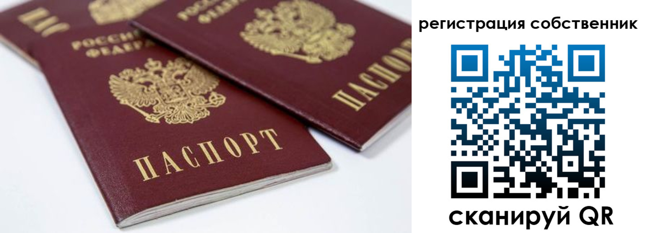 прописка для школы в Чкаловске